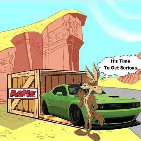 Meet your Posher, Lynntina - Picture 1 of 1